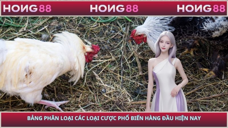 Bảng phân loại các loại cược phổ biến hàng đầu hiện nay