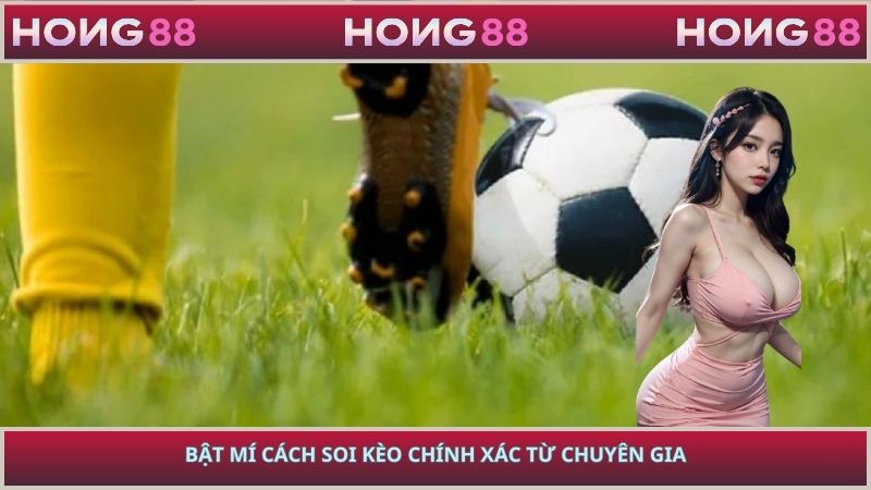 Bật mí cách soi kèo chính xác từ chuyên gia