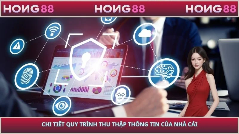 Chi tiết quy trình thu thập thông tin của nhà cái