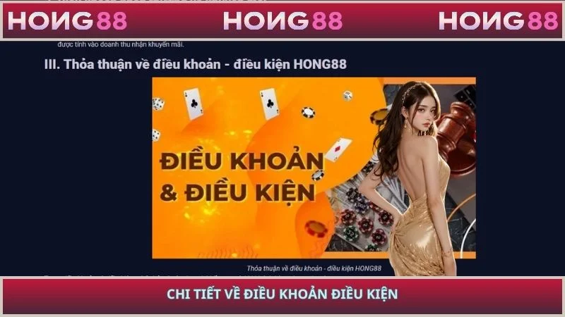 Chi tiết về điều khoản điều kiện