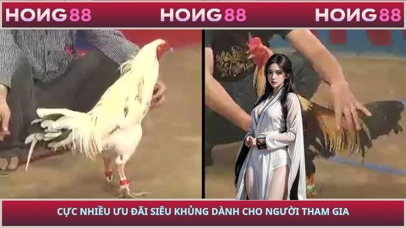 Cực nhiều ưu đãi siêu khủng dành cho người tham gia