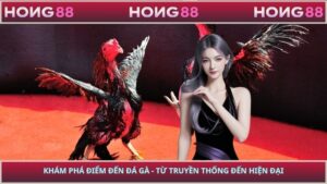 Khám Phá Điểm Đến Đá Gà - Từ Truyền Thống Đến Hiện Đại