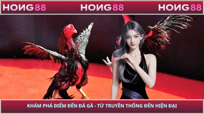 Khám Phá Điểm Đến Đá Gà - Từ Truyền Thống Đến Hiện Đại