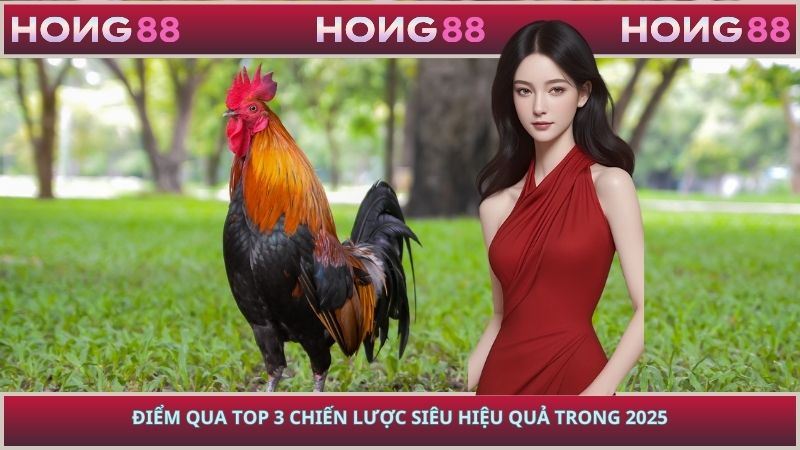 Điểm qua top 3 chiến lược siêu hiệu quả trong 2025