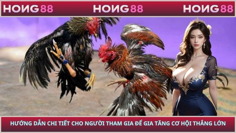 Hướng dẫn chi tiết cho người tham gia để gia tăng cơ hội thắng lớn