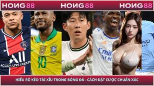 Hiểu Rõ Kèo Tài Xỉu Trong Bóng Đá - Cách Đặt Cược Chuẩn Xác