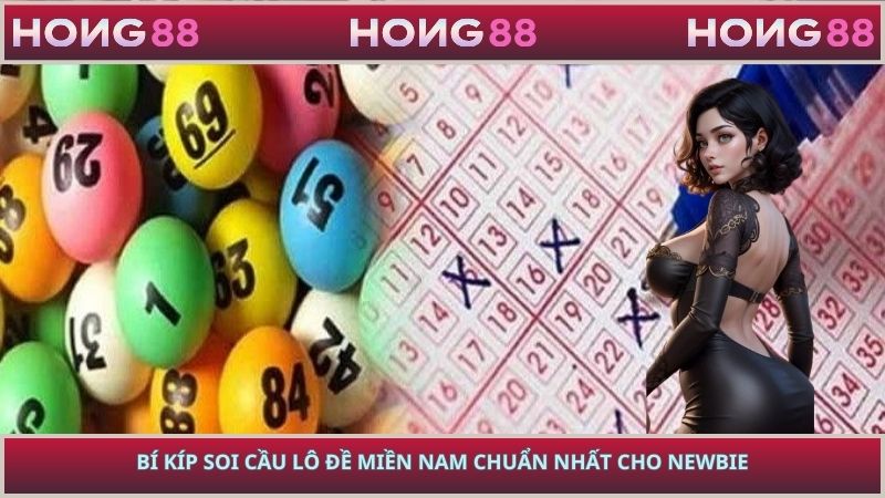 Bí Kíp Soi Cầu Lô Đề Miền Nam Chuẩn Nhất Cho Newbie