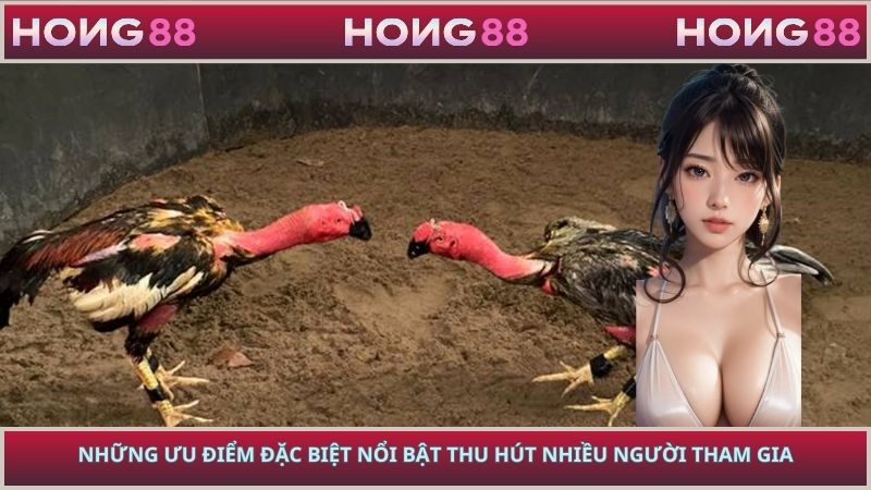 Những ưu điểm đặc biệt nổi bật thu hút nhiều người tham gia