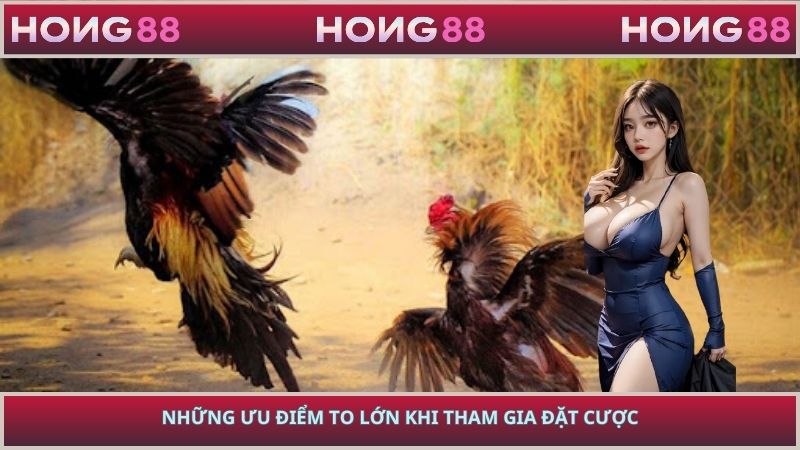 Những ưu điểm to lớn khi tham gia đặt cược