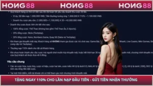 Tặng Ngay 110% Cho Lần Nạp Đầu Tiên - Gửi Tiền Nhận Thưởng