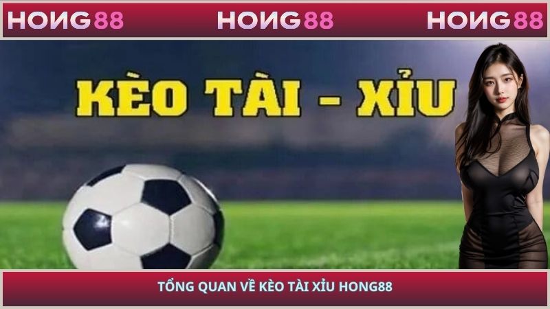 Tổng quan về kèo tài xỉu HONG88