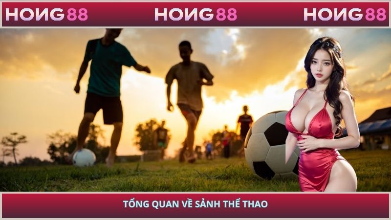 Tổng quan về sảnh thể thao