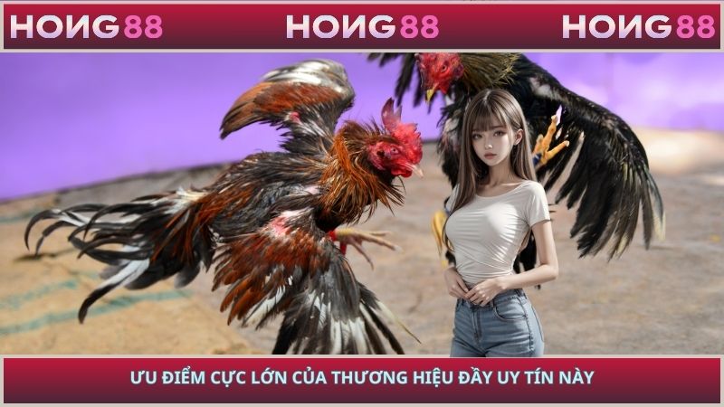 Ưu điểm cực lớn của thương hiệu đầy uy tín này