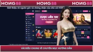 Vài điều chung về chuyên mục hướng dẫn
