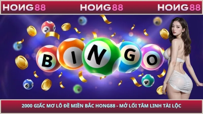 2000 Giấc Mơ Lô Đề Miền Bắc HONG88 - Mở Lối Tâm Linh Tài Lộc