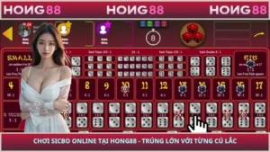 Chơi Sicbo Online Tại HONG88 - Trúng Lớn Với Từng Cú Lắc
