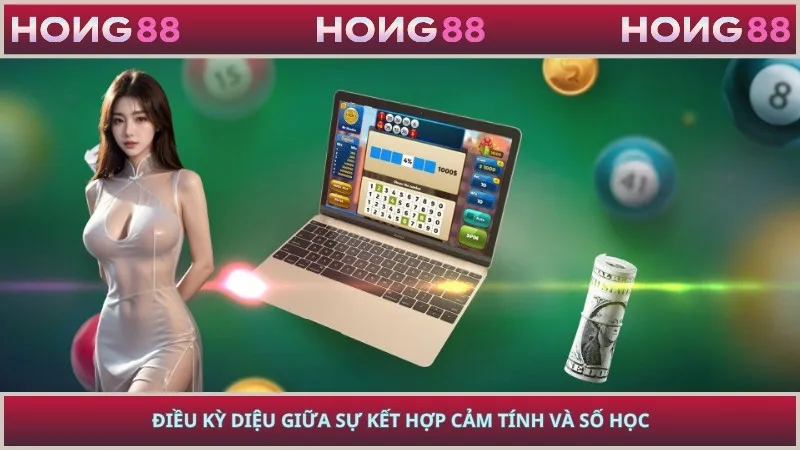 Điều kỳ diệu giữa sự kết hợp cảm tính và số học