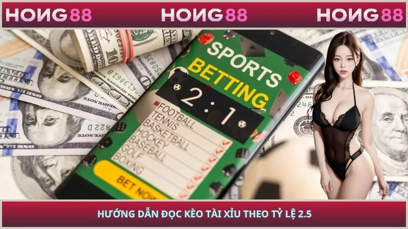 Hướng dẫn đọc kèo tài xỉu theo tỷ lệ 2.5