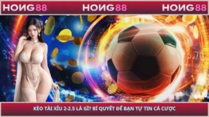 Kèo Tài Xỉu 2-2.5 Là Gì? Bí Quyết Để Bạn Tự Tin Cá Cược