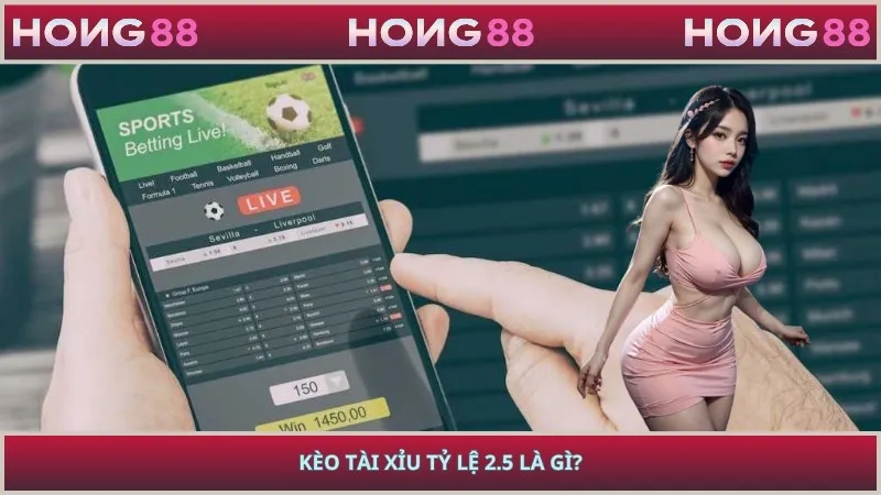 Kèo tài xỉu tỷ lệ 2.5 là gì?