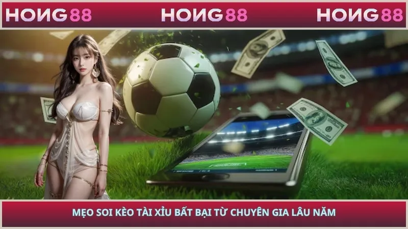 Mẹo soi kèo tài xỉu bất bại từ chuyên gia lâu năm