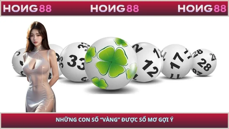 Những con số “vàng” được sổ mơ gợi ý
