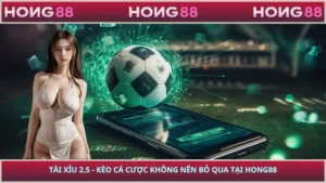 Tài Xỉu 2.5 - Kèo Cá Cược Không Nên Bỏ Qua Tại HONG88