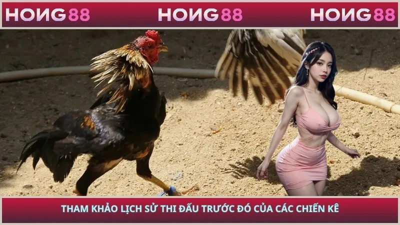 Tham khảo lịch sử thi đấu trước đó của các chiến kê