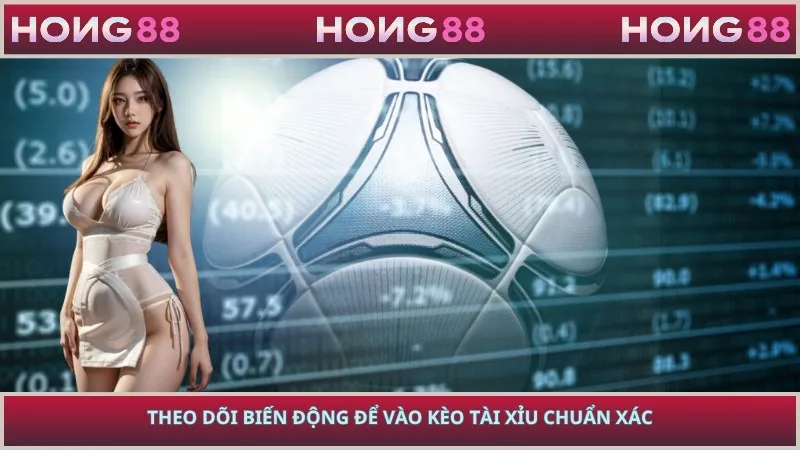 Theo dõi biến động để vào kèo tài xỉu chuẩn xác