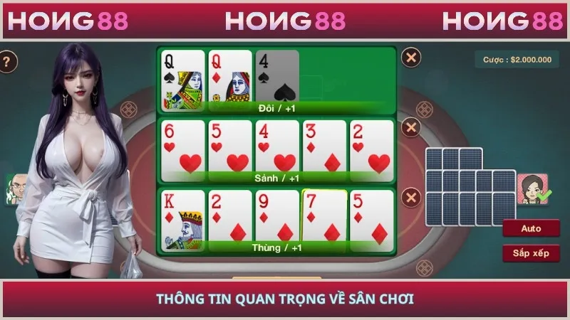 Thông tin quan trọng về sân chơi