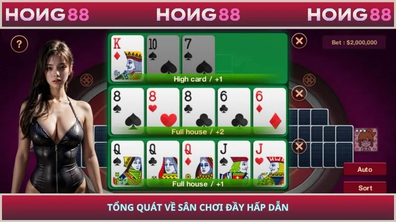 Tổng quát về sân chơi đầy hấp dẫn