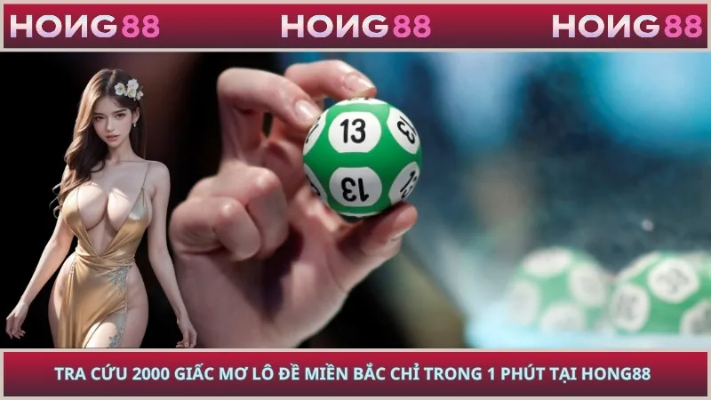 Tra cứu 2000 Giấc Mơ Lô Đề Miền Bắc chỉ trong 1 phút tại HONG88