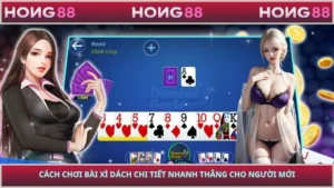 Cách Chơi Bài Xì Dách Chi Tiết Nhanh Thắng Cho Người Mới